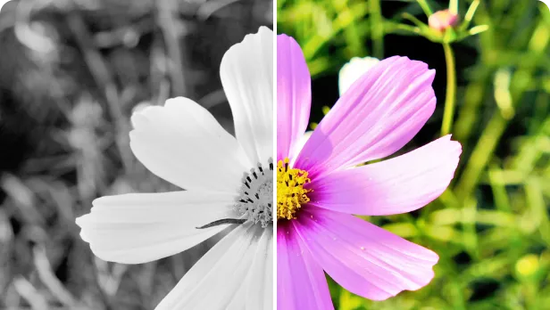 モノクロorカラー