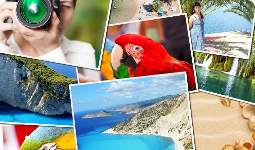 高画質カラーランキング